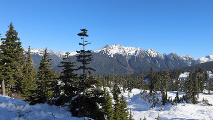 Winter scenery of the Cascadia Mountains slopes