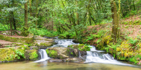 long exposure of some waterfalls in a river in the forest