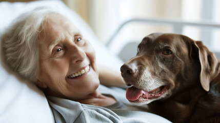 Fototapeta na wymiar Elderly woman in hospital bed, happy with her senior Chocolate Labrador is visiting, senior care and hospice concept, copy space