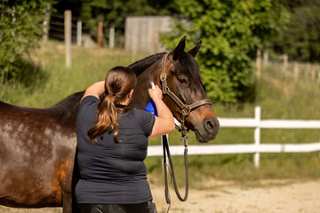 A female equestrian sprays fly protection on her bay brown arab-quarter horse mix horse in summer...