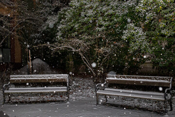 It snows in a backyard at night