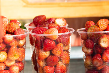 Fototapety na wymiar - Fototapeta24.pl