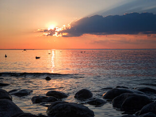 A beautiful summer sunset with the sun setting in a pink and orange haze on the horizon under a dark band of clouds over the waters of Lake Simcoe with seagulls floating on the water and dark rocks in