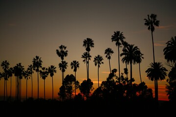 Sunset at Elysian Park