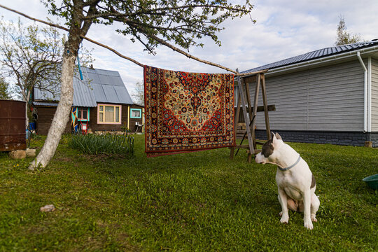 Authentic At,psheric Backyard Reflection View