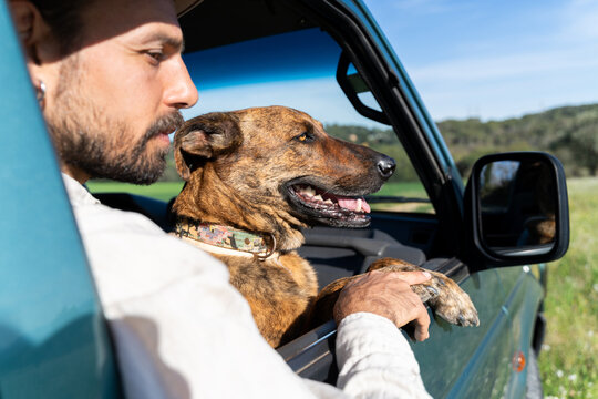 Man and dog in car
