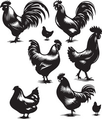 Chicken silhouette vector illustration