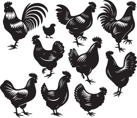 set of chicken