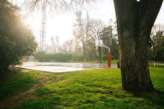 Sunny Day at a Park in Milan - Powered by Adobe