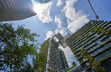 Modern skyscraper & green wall vertical garden, architecture low angle