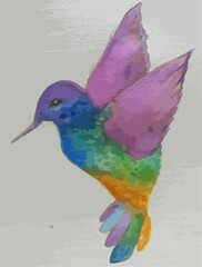 Pintura acuarela colibrí © ivan