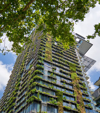 Gardeners abseil a vertical garden for facade plants maintenance 