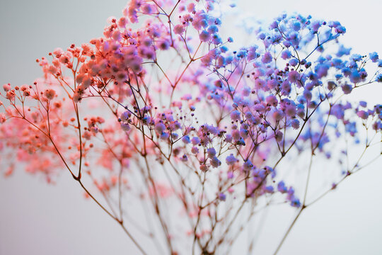 Colorful Baby's Breath Bouquet