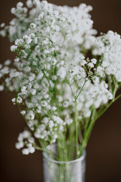 Baby's Breath Bouquet