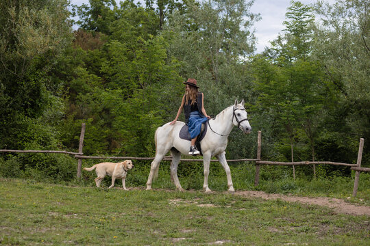 Horseback riding in the countryside