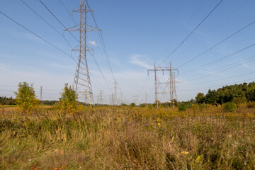 Field of wildflowers and forest - power lines across field - sky overhead. Taken in Toronto, Canada.