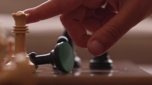 Chess game at home. Checkmate.