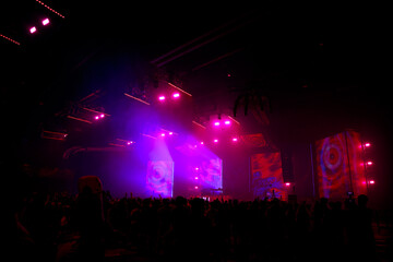 concert with a large crowd of people and a stage with lights