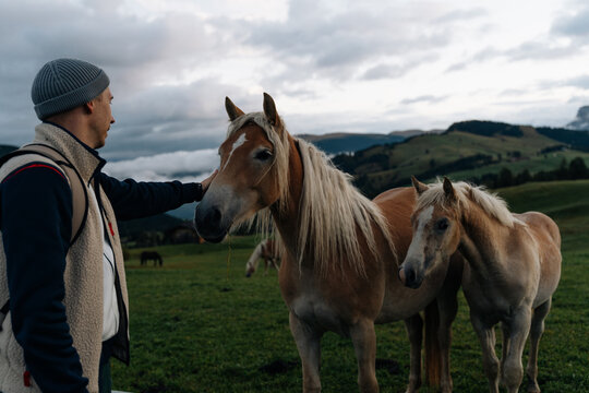 Man petting the horse