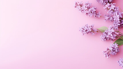 Fototapeta premium Empty soft lavender-pink background mimicking the delicate hues of a tranquil and serene atmosphere.