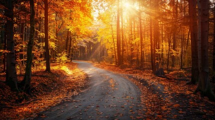 Fototapeta premium Sun-drenched forest road with golden leaves, autumn setting, detailed foliage, beautiful winding path, tranquil and scenic