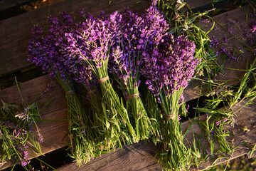 Fresh flowers of lavender bouquet on a white wooden background