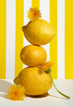 Lemons and dandelions piled on yellow striped white background. 
