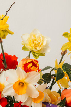 Close up of beautiful narcissus in an arrangement