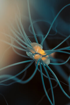 Neuron cell, 3D illustration