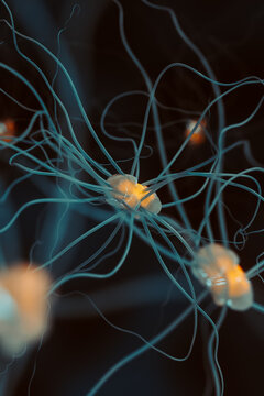 Neuron cell, 3D illustration