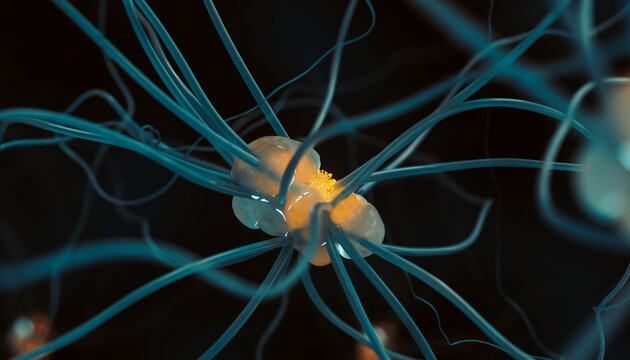 Neuron cell, 3D illustration