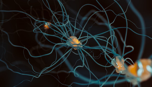 Neuron cell, 3D illustration