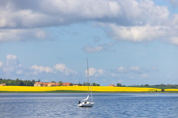 Spring Landscape   