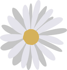 Flower Illustration. Spring flower.