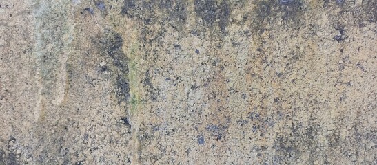 Moss Covered Stone Wall in Forest Hills