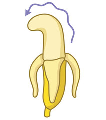 男性器をイメージしたバナナ　萎れたバナナ