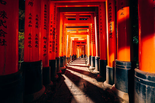 Japanese Iconic Fushimi Inari Torii Gate Pathway