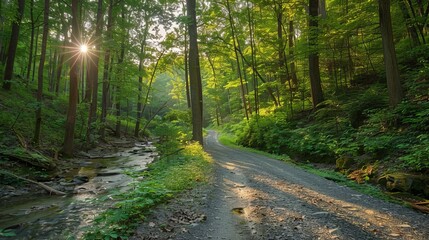 Fototapeta premium Sun-dappled forest road, vibrant green trees, sun rays illuminating the path, sparkling stream flowing beside, tranquil and scenic