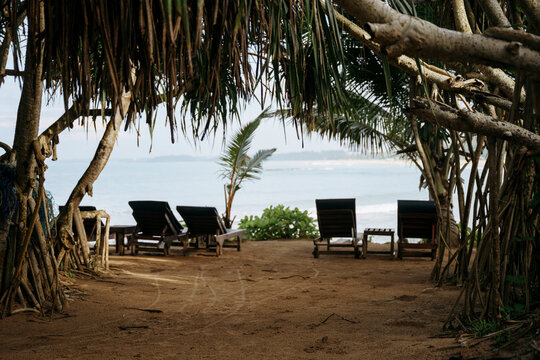 Sun Beds On The Beach