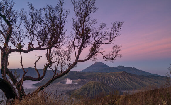 Mount Bromo In Java, Indonesia. Volcano