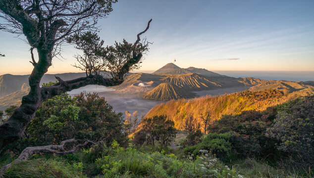 Mount Bromo In Java, Indonesia. Volcano