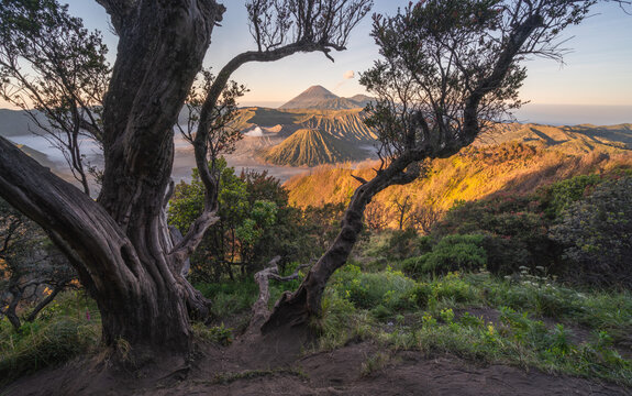 Mount Bromo In Java, Indonesia. Volcano