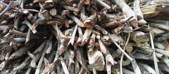 Rural Kitchen Firewood, Stacked Wood for Cooking