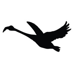 flamingo bird silhouette vector design. black and white.