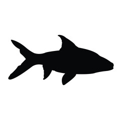 balashark fish silhouette vector design. black and white.