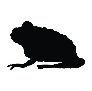 recommend clip art: frog silhouette vector design. black and white.