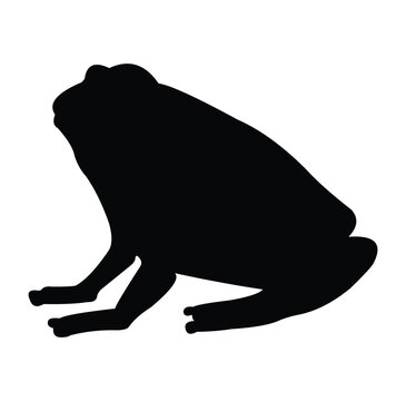recommend clip art: frog silhouette vector design. black and white.