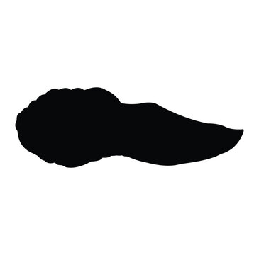 recommend clip art: tadpole silhouette vector design. black and white.