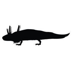 axolotl silhouette vector design. black and white.