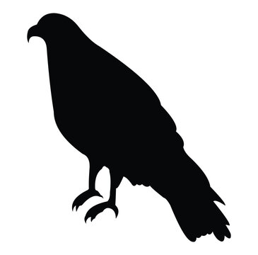 recommend clip art: Eagle bird silhouette vector design. black and white.